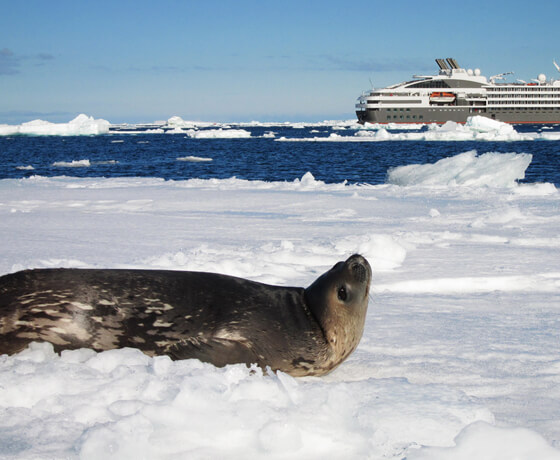 Gay Antarctica Cruise Tour